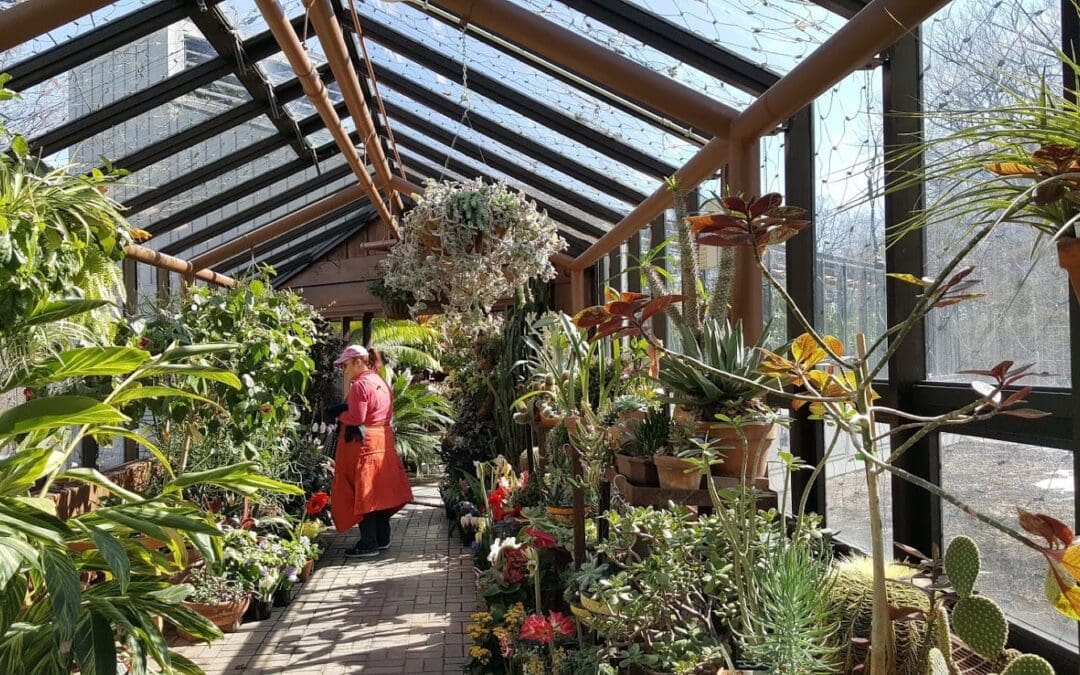 Spring at the Minnesota Landscape Arboretum